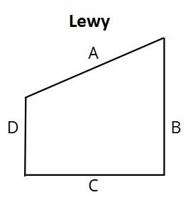 Lewa